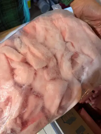 Premium organic Mangalitsa fat cut frozen and ready to render, View more