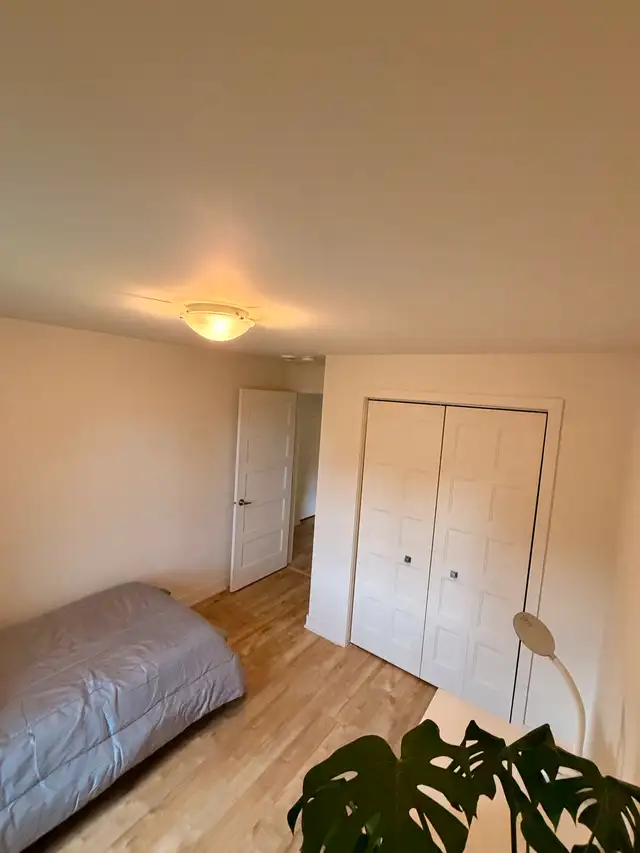 Coloc recherché in Room Rentals & Roommates in West Island - Image 3