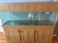 120 Gallon Aquarium & Cabinet