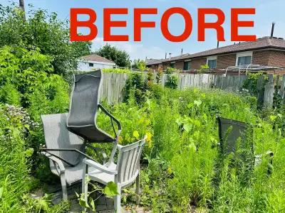 Grass Cutting, Backyard Cleaning/ Fall Clean ups, View more