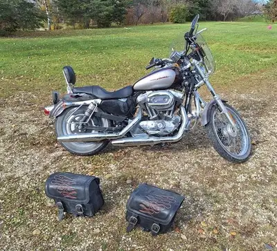 Comes with two leather saddlebags. If interested, please call, or if no answer text 204-791-6798