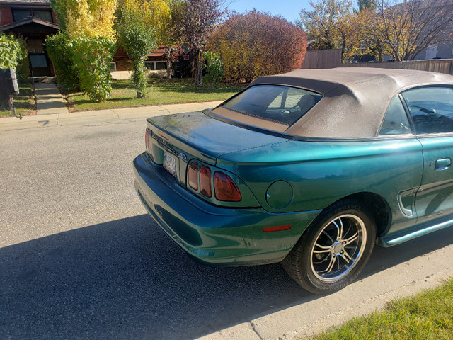 Ford Mustang  Convertible Consider  TRADES in Classic Cars in Red Deer - Image 4