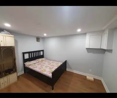 3 br 2 bth basement available