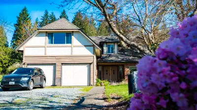 Rooms for Rent – Shared House in Surrey (96 Ave & 179 St) Looking for quiet, clean tenants for a lar...