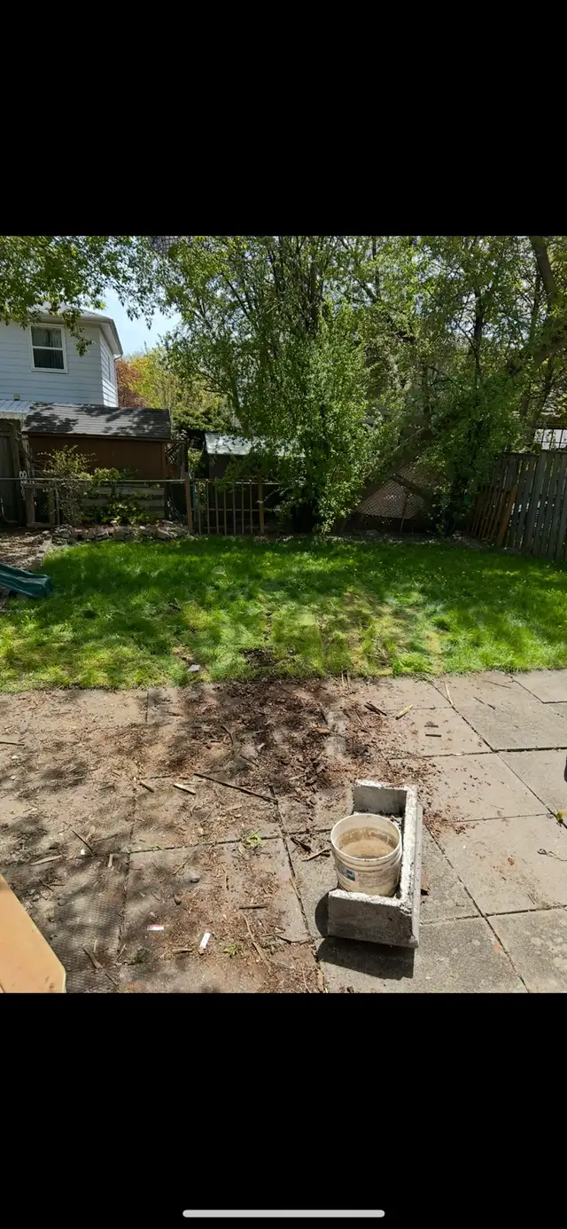 From $99 Garbage/Junk Removal Services!!!!!Same Day Pickup!!!!!518065438138705924