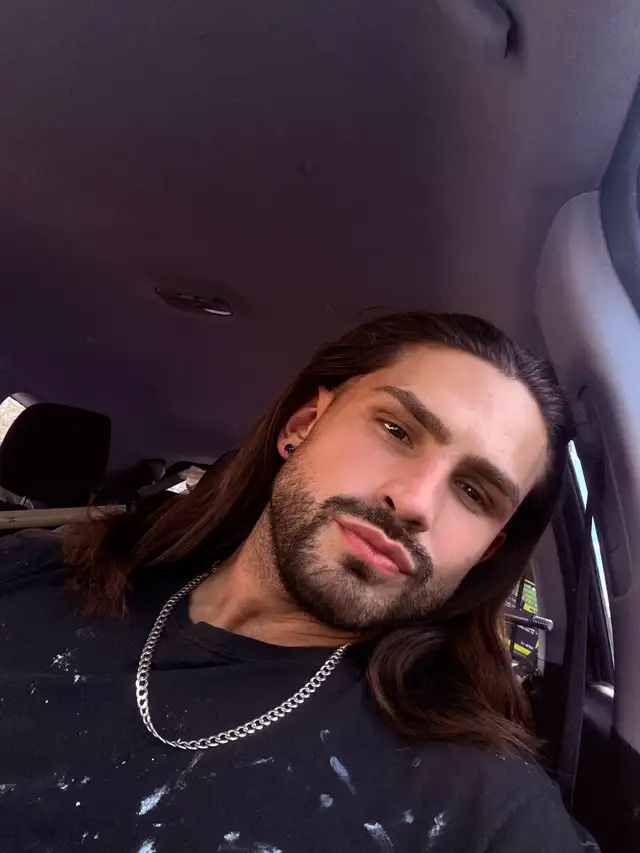 professional painter65561328280961120