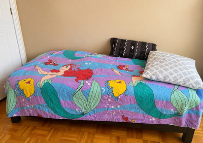 Twin Size Bed/Mattress, View more
