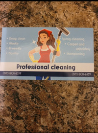 House Cleaner Available 