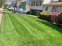Grass cutting 