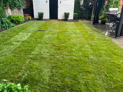 Crew leader lawn care, View more