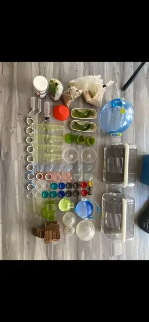 cage pour hamster in Accessories in Lanaudière - Image 3