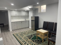 Newly Built 1-Bedroom Basement Apartment in Milton Available