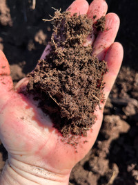 Tested Organic Peat Moss - Excellent for Gardens & Lawns
