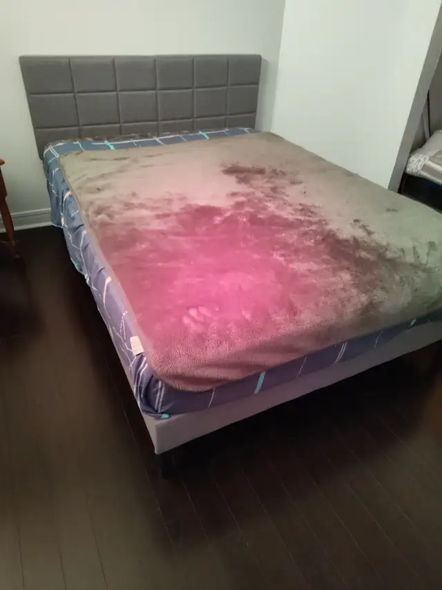 Plateforme de lit in Beds & Mattresses in Laval / North Shore - Image 3