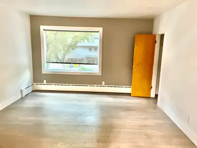 Newly renovated City Park 2 Bedroom