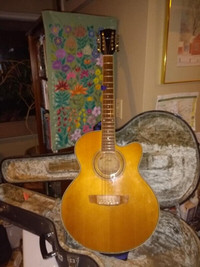 cittern/guitar