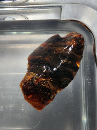 Raw Unpolished Baltic Amber Stone 26 gram