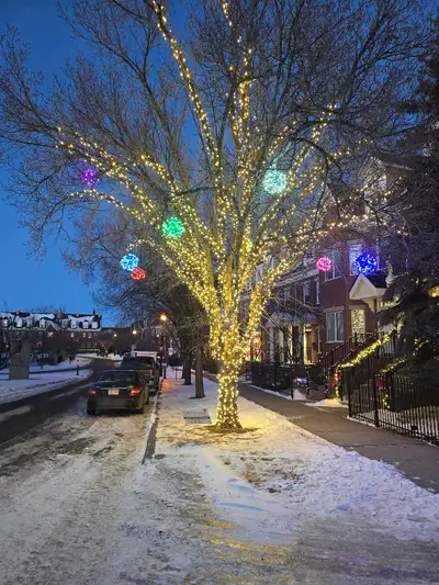Christmas Light Installers Wanted, View more