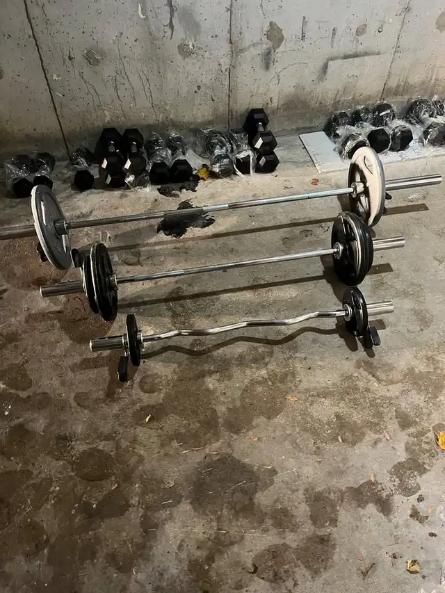 Olympic Barbells & Plates | Exercise Equipment | Markham / York Region ...