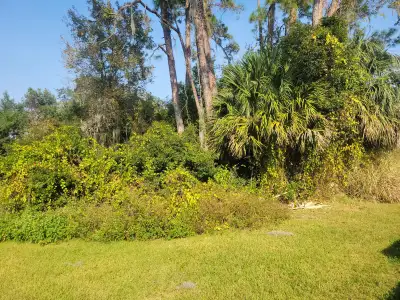 community land bldg wanted $50k, View more