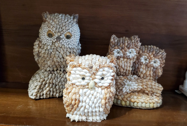 Seashell Shell Owls in Home Décor & Accents in Cambridge - Image 4