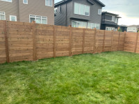 Fence and deck 