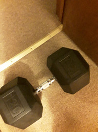 ONE 120 LB DUMBELL, A SINGLE, $ 215.00