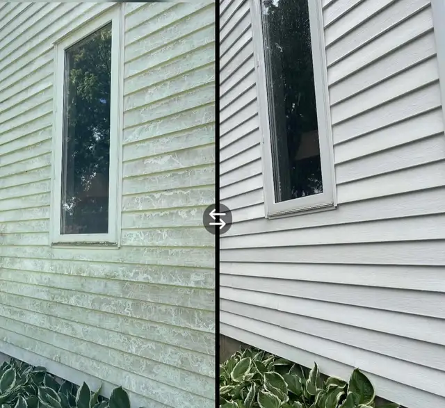 HOUSE WASHING – REMOVE GREEN ALGAE, DIRT & MOLD / 226-977-4806