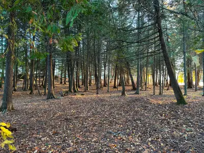 292 acres, 5km waterfront, 100m beach, Kenora, Lake of the Woods, View more