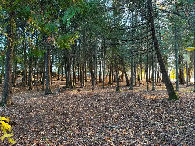 292 acres, 5km waterfront, 100m beach, Kenora, Lake of the Woods62864750314753121