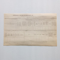 Antique Blank Assessment Return Document