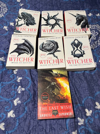Witcher books 