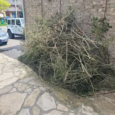 Yard Waste & Junk Removal | Champion Junk Remo, View more