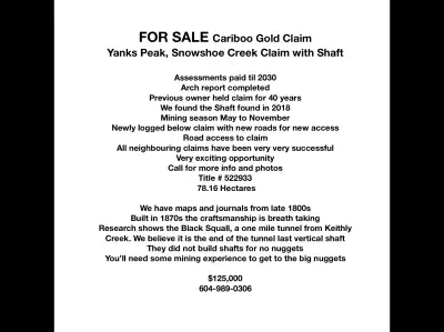 Cariboo, Snowshoe Creek Placier Gold Claim with Shaft