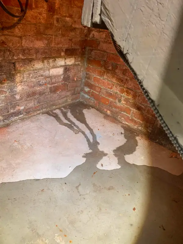 WATERPROOFING,WET BASEMENT, SUMP PUMP INSTALLATION 647-785-550063235482395393122