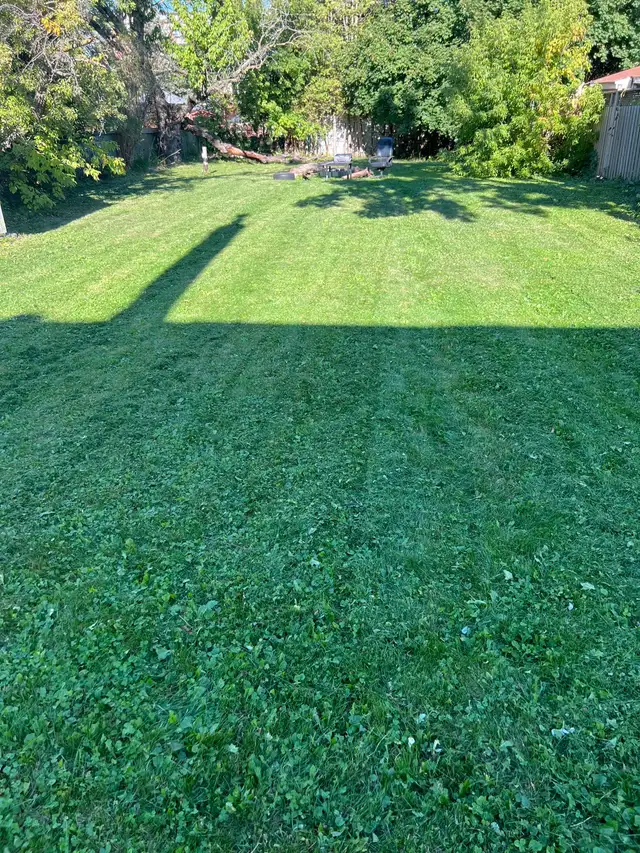 Affordable yard cleanup grass cutting  lawn mowing  647501866 in Lawn, Tree Maintenance & Eavestrough in City of Toronto - Image 4