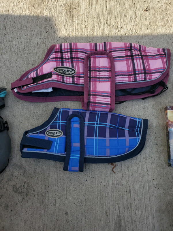 Dog blankets in Accessories in Belleville - Image 2