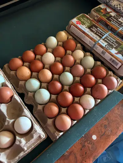 Farm Fresh Eggs, View more