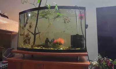 40 gallon  aquarium set, View more