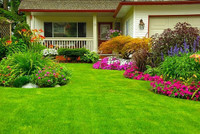 Gardening Services 