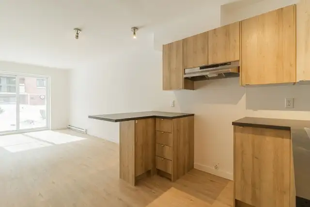 3 1/2  cuisine rénovée, terrasse, AVRIL ou MAI ou JUIN ou JUILLE