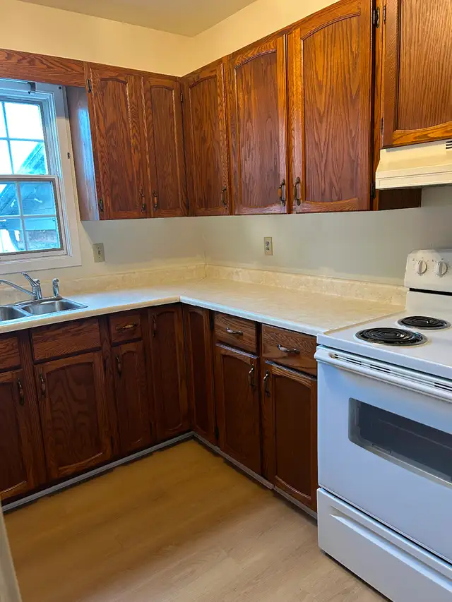 1 bedroom Apartment in Long Term Rentals in Kingston - Image 9