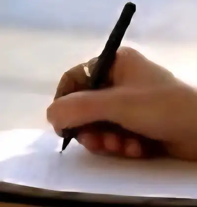 Assignment, essay writer, essay writing, homework, coursework, View more