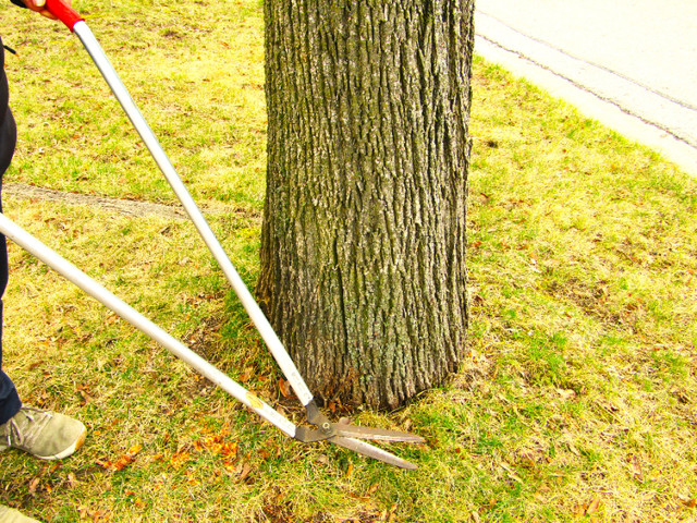 Sturdy Tecomaster lawn/garden edge trimmer dans Tondeuses et souffleuses  à Ville de Toronto