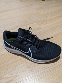 Souliers Nike Pegasus 38