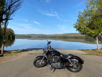 Harley Davidson Sportster 1200 xl 