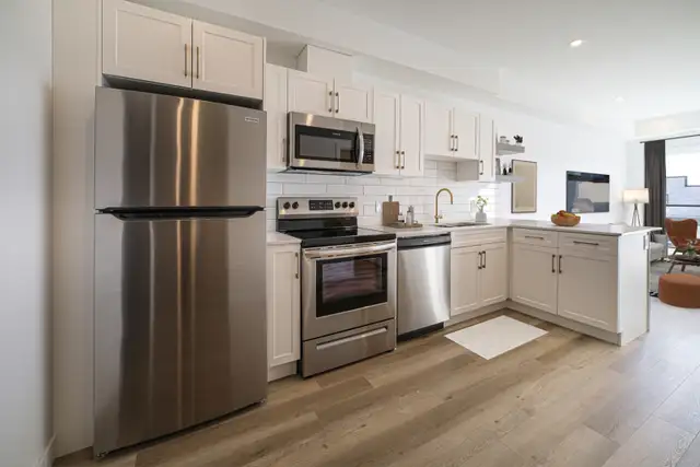 Luxury 1 Bedroom Apartment! Available In February!