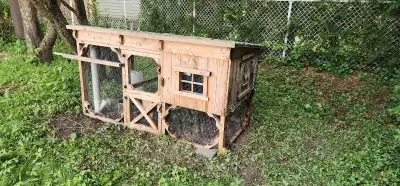 Poulailler pour 3 a 4 poules avec abreuvoir et distributeur de moulee. Ouvre porte automatique a pro...