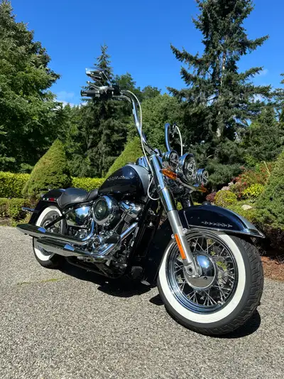 2019 Harley Davidson Softtail deluxe edition 107 CI M8 engine Carlini Gangster ape handlebars Carlin...