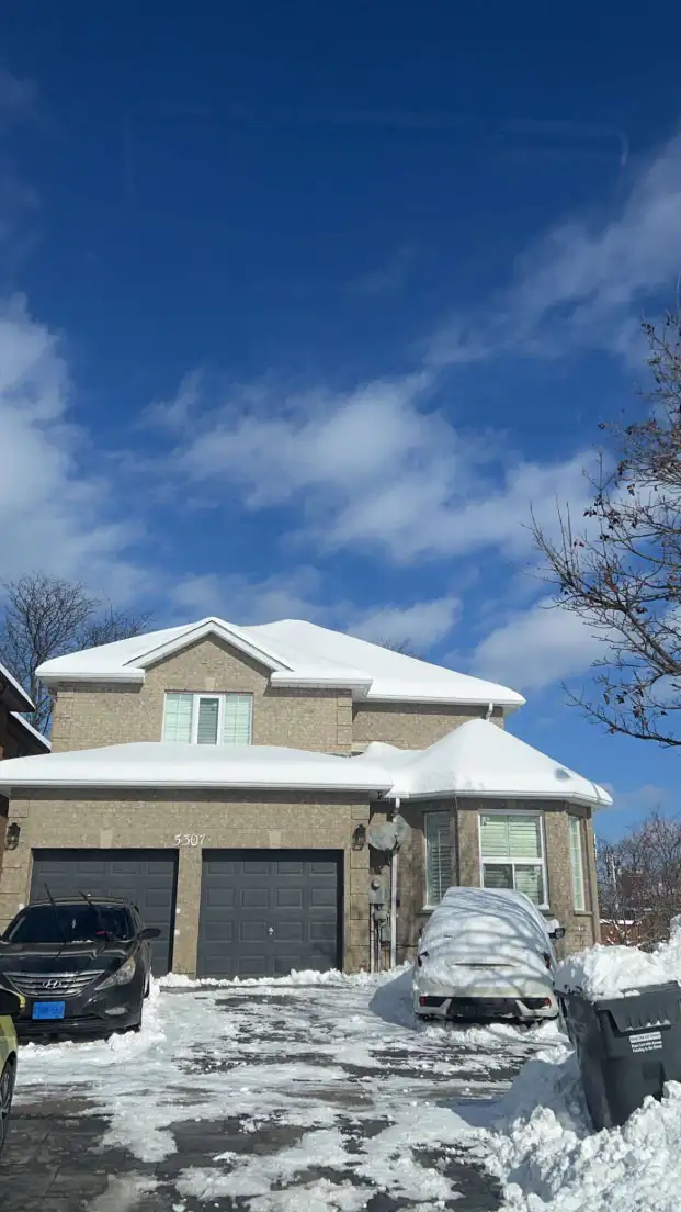 Snow Removal (GTA- SAME DAY) 65198306143361127